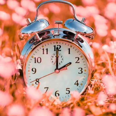 Blockchain timestamping 2025 hero image, symbolizing data integrity, immutability, and secure verification of digital records.