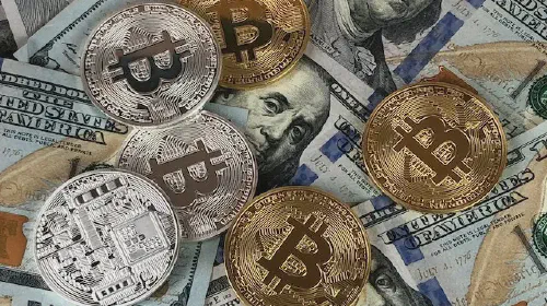 Bitcoin and cash