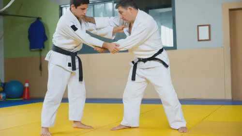 A Men Doing Judo Together