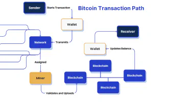 Bitcoin Transaction Path White
