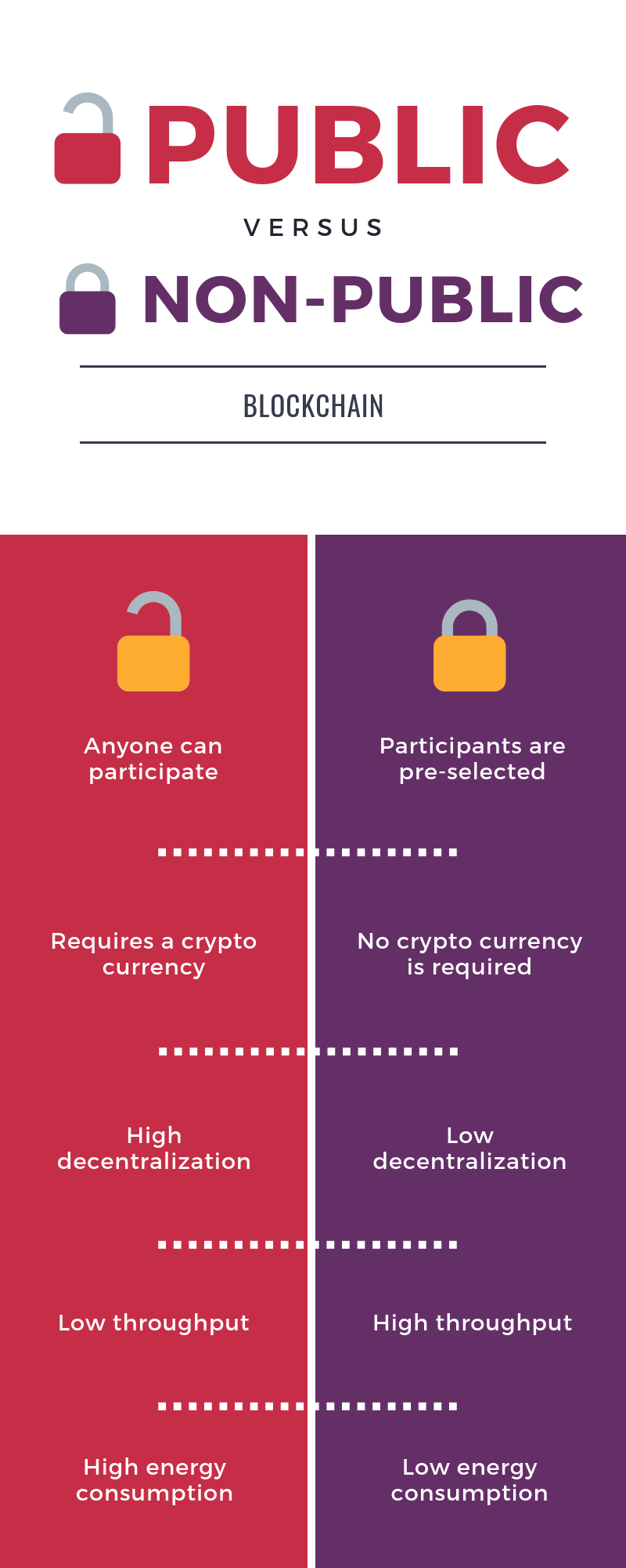 Public vs. Private Blockchains schematic