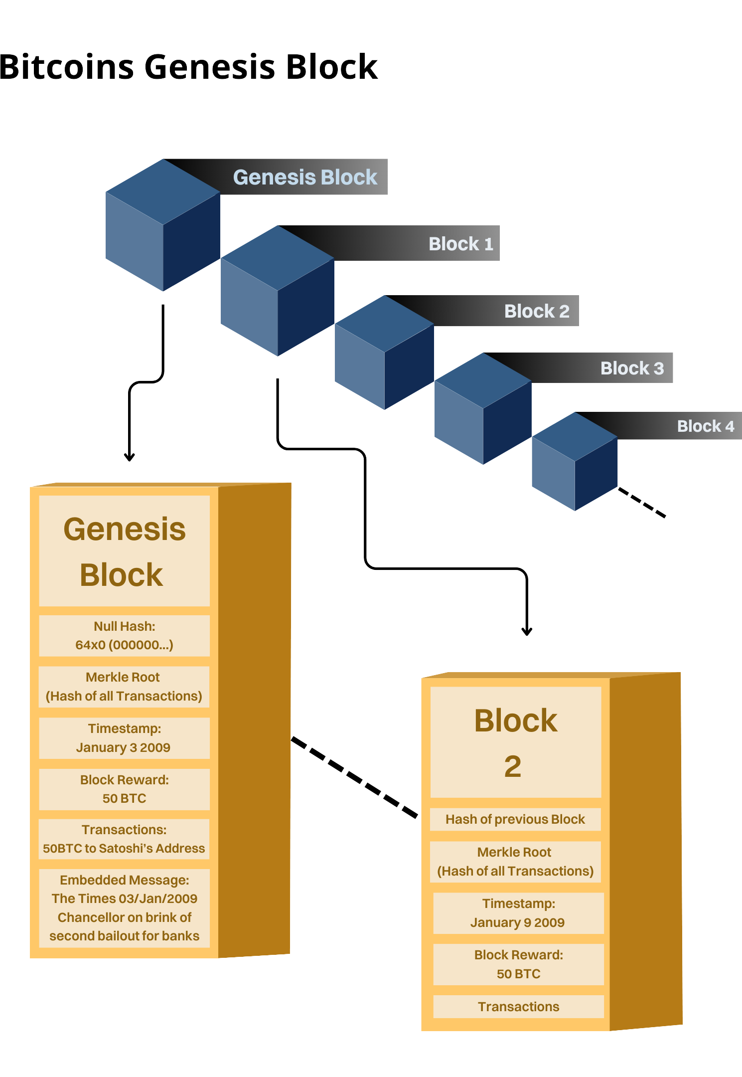 Bitcoins Genesis Block Infographic