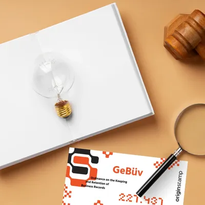 GEBUEV court audit process showing legal document verification