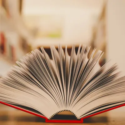 Ein aufgeschlagenes Buch mit rotem Einband und aufgefächerten Seiten.