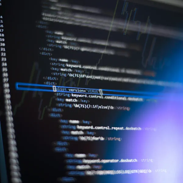 Computerbildschirm mit Codezeilen und markiertem Hinweis auf eine Virusversion