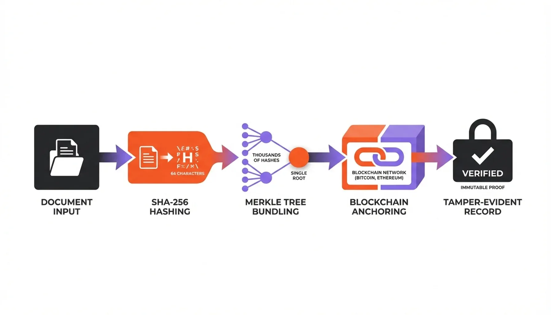 Proof of Existence on the Blockchain chart highlighting blockchain timestamping activity and verification metrics.