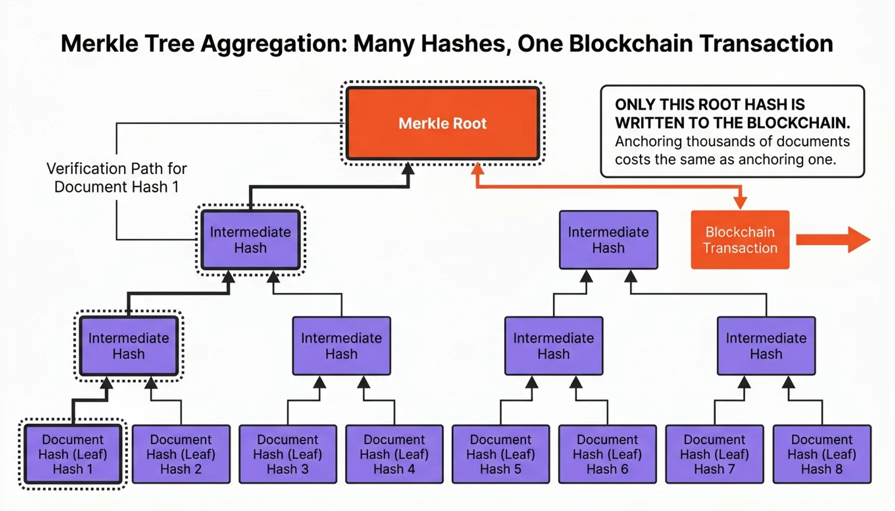 Process flow to timestamp a file on blockchain with sha-256 hash timestamp and anchoring steps